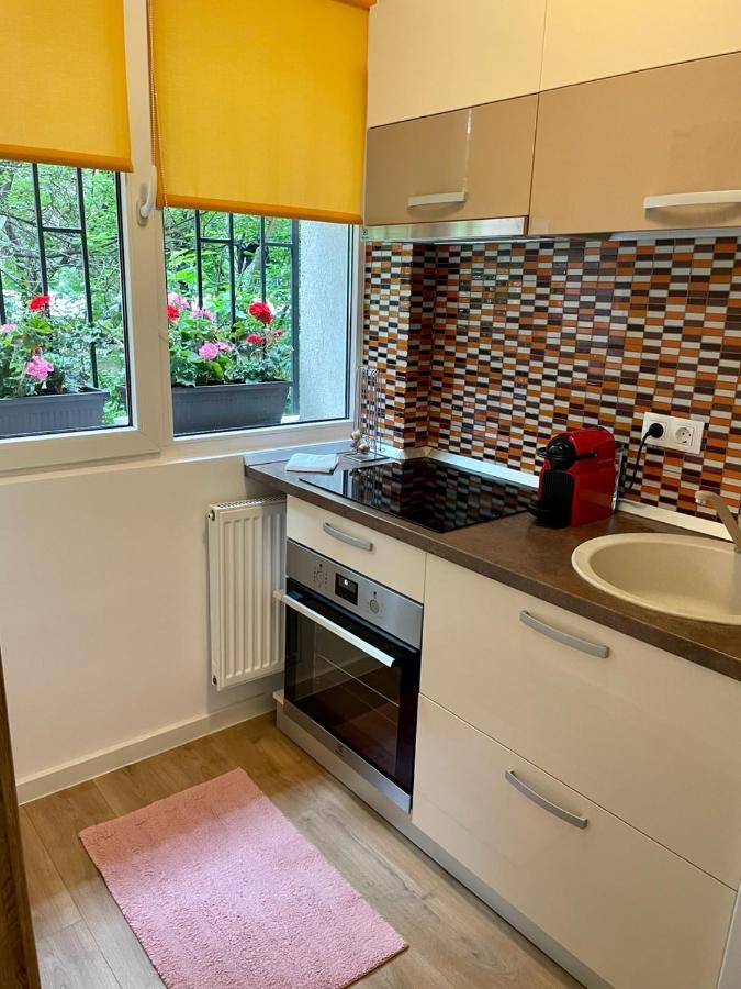 Studio Dristor - Foarte Curat Si Frumos Boekarest Buitenkant foto